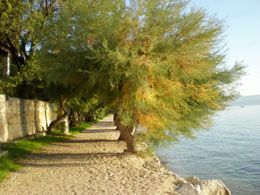 omis vesna adriatic 1