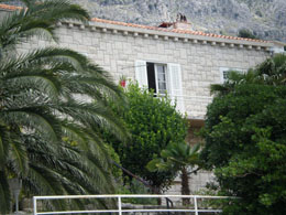 omis vesna adriatic 1