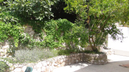 omis vesna adriatic 2